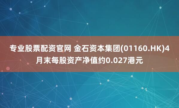 专业股票配资官网 金石资本集团(01160.HK)4月末每股资产净值约0.027港元
