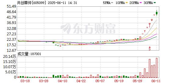 全国炒股配资 7连板共创草坪：国内运动草占主营业务收入的比重较低 并非公司收入的主要来源
