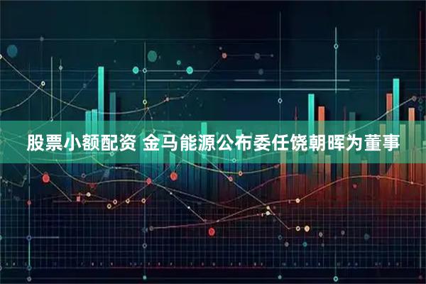 股票小额配资 金马能源公布委任饶朝晖为董事