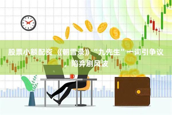股票小额配资 《朝雪录》“九先生”一词引争议，陷弃剧风波